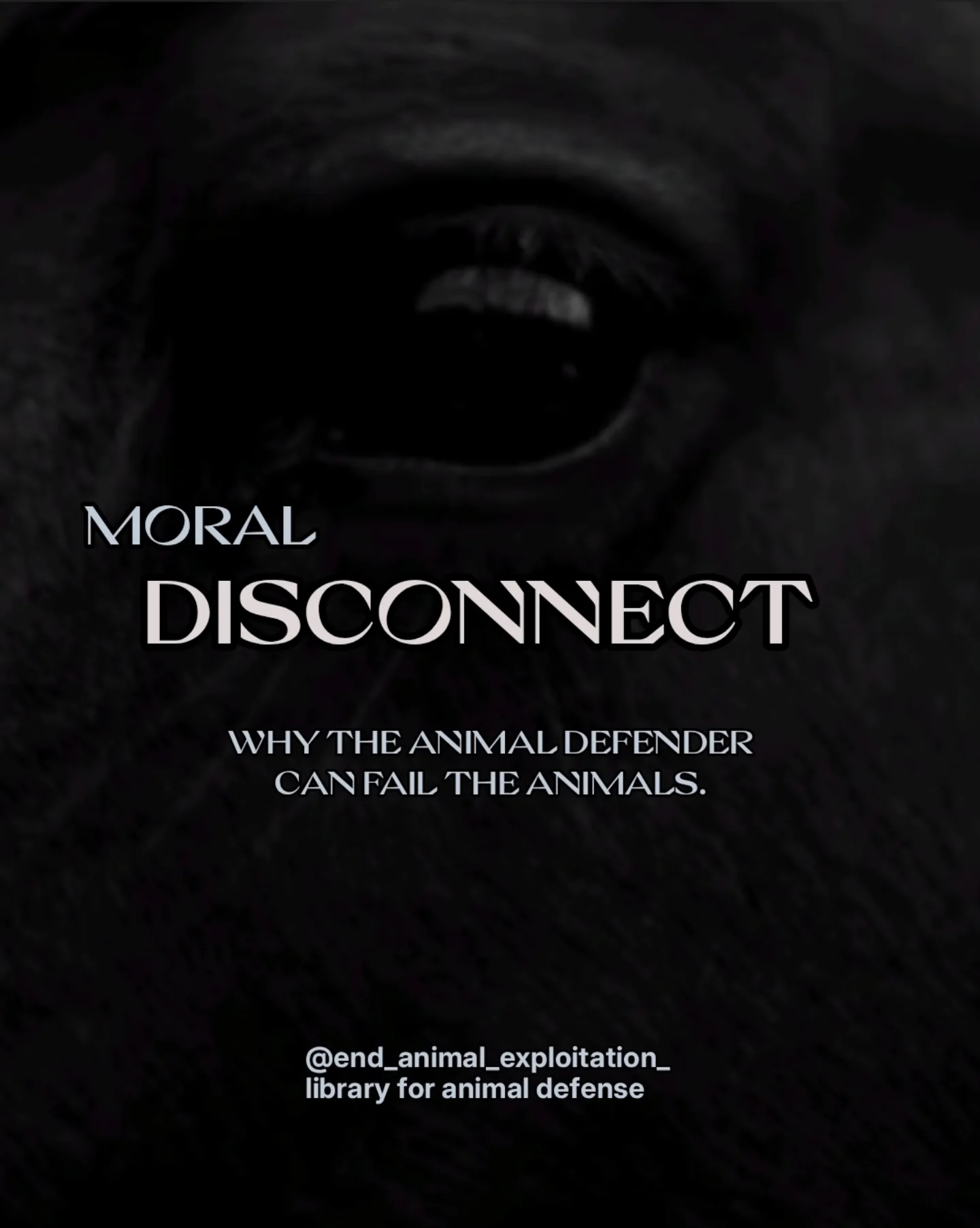Moral Disconnect